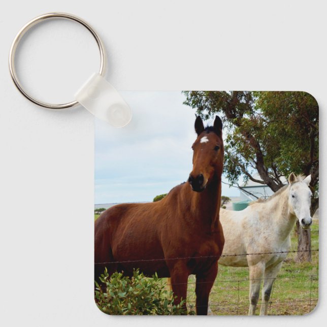 Porte-clés Cheval Brown Et Mare Blanche, (Recto)