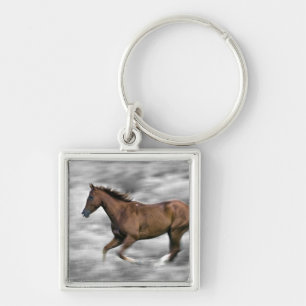 Porte-clés Cheval courant