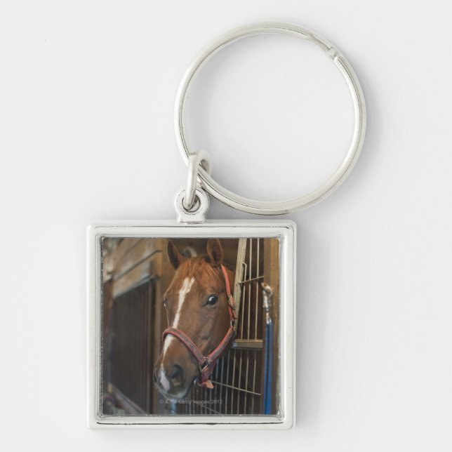 Porte-clés Cheval dans la stalle (Devant)