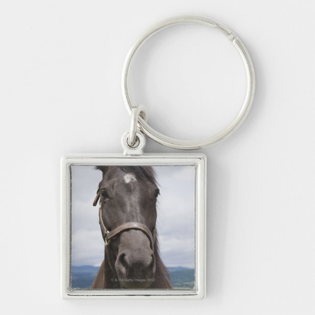 Porte-clés Cheval de brun foncé (Devant)