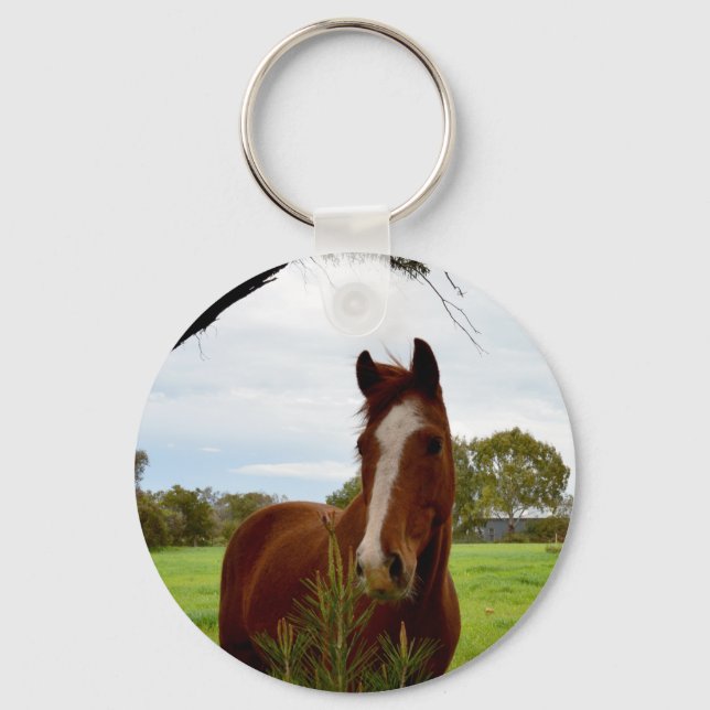 Porte-clés Cheval De Châtaignier Avec Banksia Tree, (Recto)