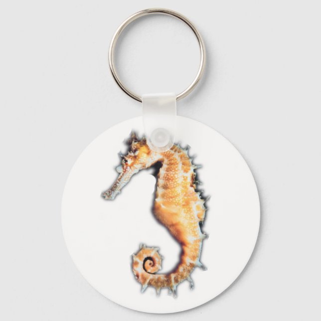 Porte-clés Cheval de mer (Recto)
