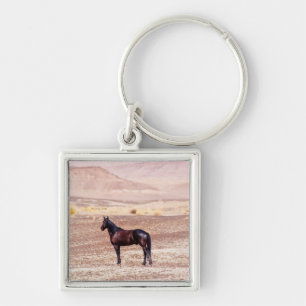 Porte-clés Cheval du désert P8664
