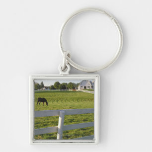 Porte-clés Cheval frôlant à la ferme