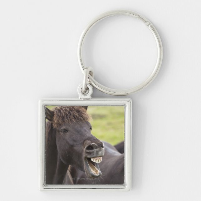 Porte-clés Cheval islandais avec l'expression drôle (Devant)