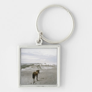 Porte-clés Cheval marchant sur la plage