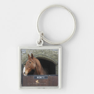 Porte-clés Cheval se tenant regardant hors de son écurie