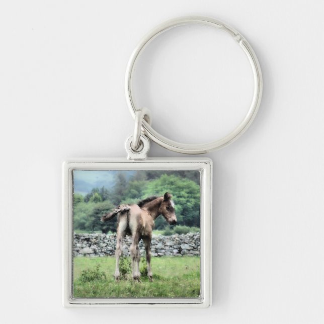 PORTE-CLÉS CHEVAUX (Devant)