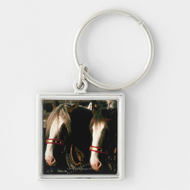 Porte-clés Chevaux avec des coiffes (Devant)