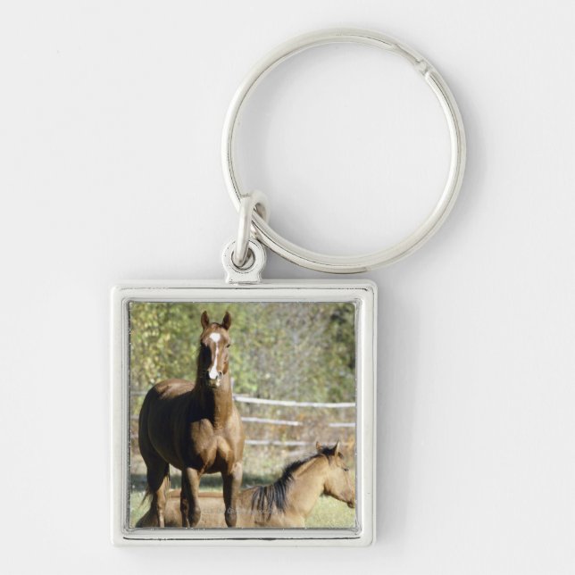 Porte-clés Chevaux dans le pâturage (Devant)