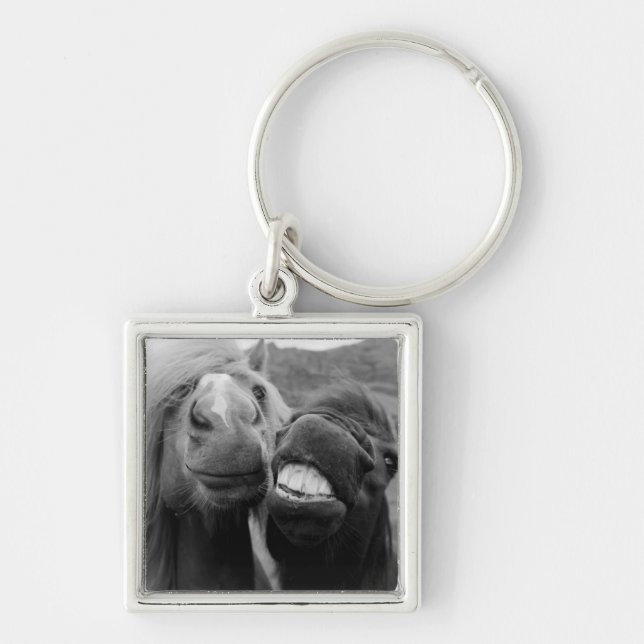 Porte-clés Chevaux de sourire des images | de Getty (Devant)