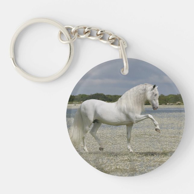 Porte-clés Chevaux d'imaginaire : Seigneur du lac (Devant)