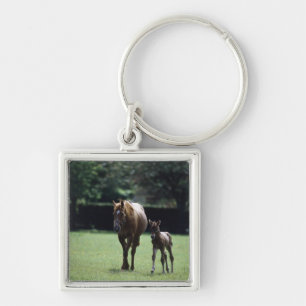 Porte-clés Chevaux - pur sang, jument et poulain,