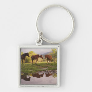 Porte-clés Chevaux reflétés dans un petit ruisseau, Cades Cov