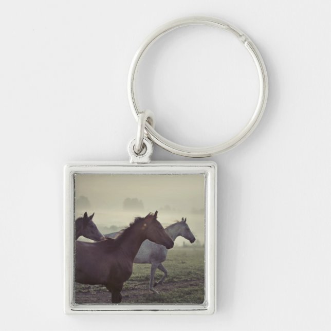 Porte-clés Chevaux sauvages (Devant)