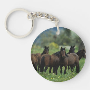 Porte-clés Chevaux sauvages 3 de mustang