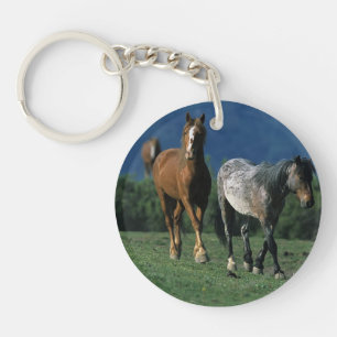 Porte-clés Chevaux sauvages de mustang