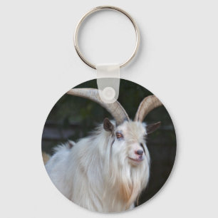 Porte-clés chèvre pygmée africaine