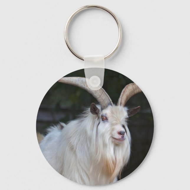 Porte-clés chèvre pygmée africaine (Recto)