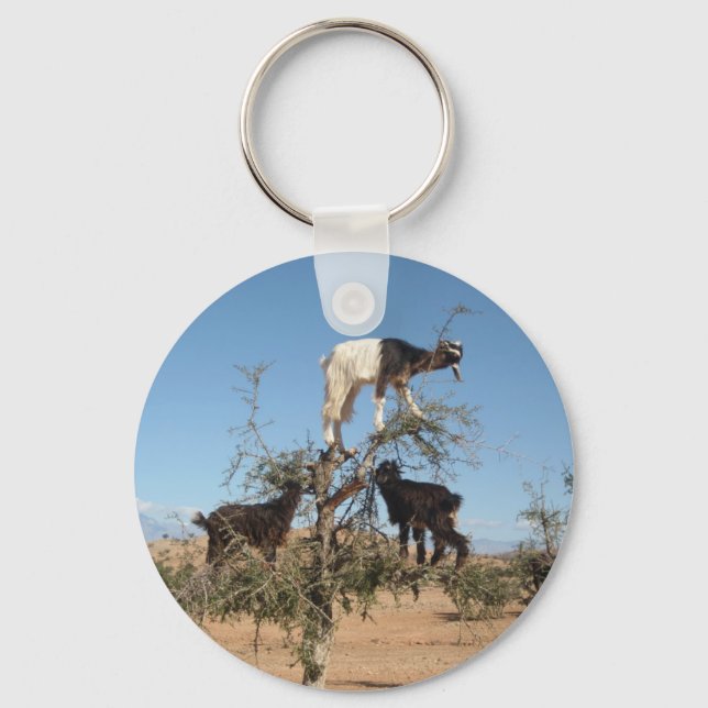 Porte-clés Chèvres drôles dans un arbre (Recto)