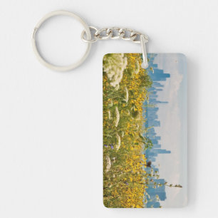 Porte-clés Chicago comme vu de l'oiseau du port de Montrose