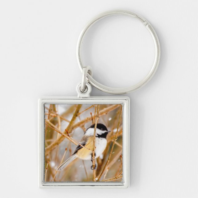 Porte-clés Chickadee au plafond noir - Photo originale (Devant)
