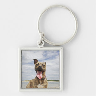 Porte-clés chien à la plage