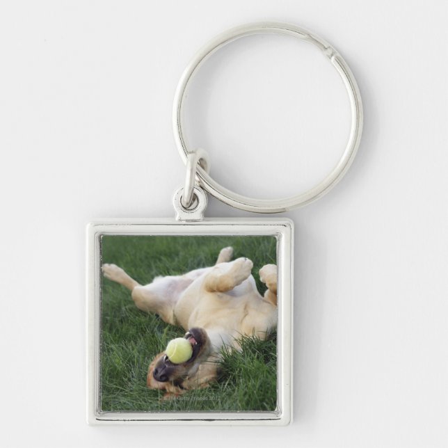 Porte-clés Chien allongé dans l'herbe avec balle de tennis (Devant)