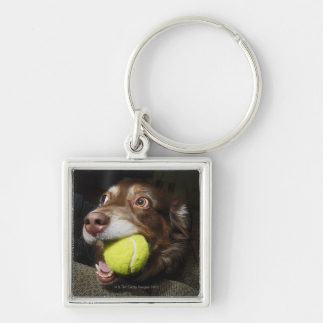 Porte-clés Chien avec de la balle de tennis (Devant)