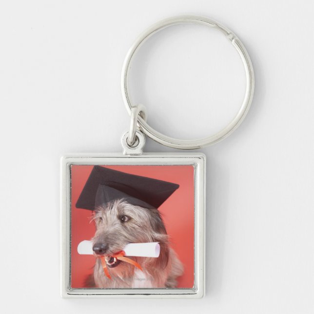 Porte-clés Chien avec la taloche et le diplôme (Devant)