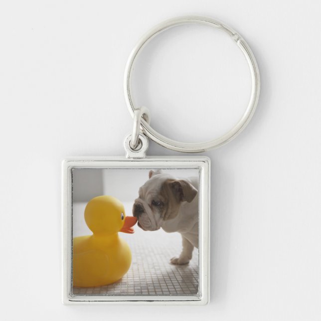 Porte-clés Chien avec le canard en plastique (Devant)