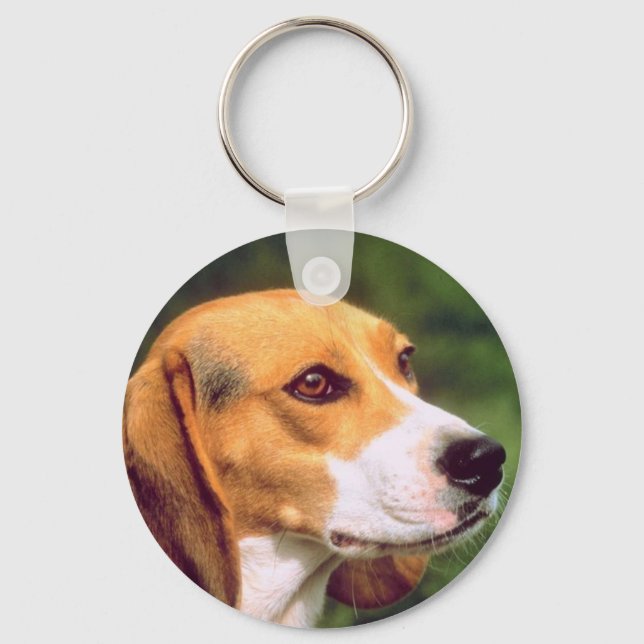 Porte-clés Chien beagle (Recto)