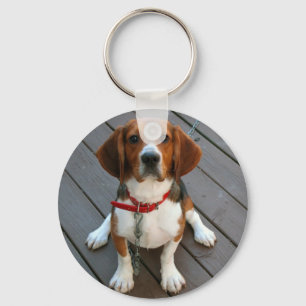 Porte-clés Chien Beagle Cutest Jamais
