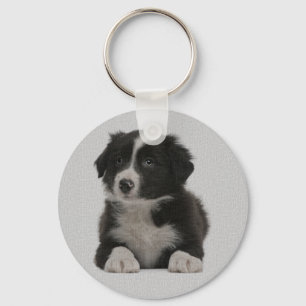 Porte-clés Chien Bébé Border Collie Bleu Amour