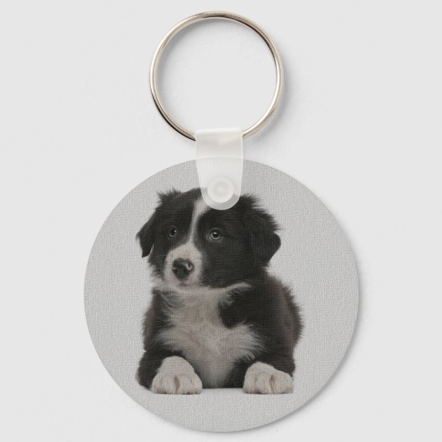 Porte-clés Chien Bébé Border Collie Bleu Amour (Recto)