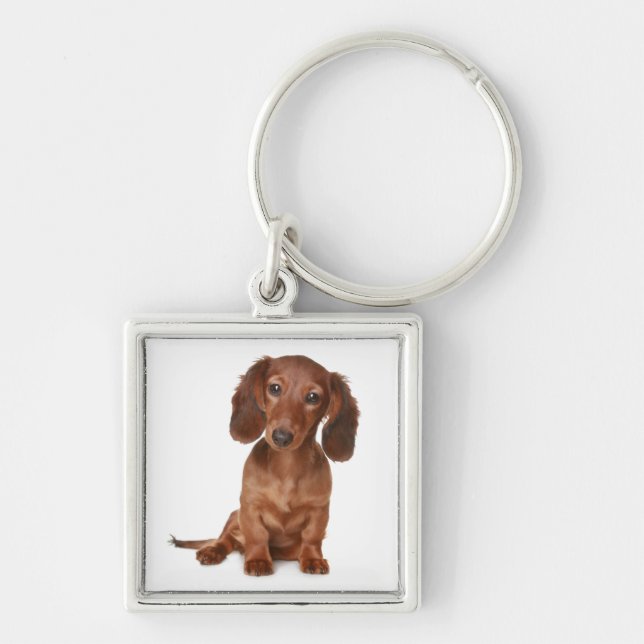 Porte-clés Chien Bébé Teckel (Devant)