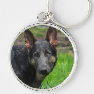 Porte-clés Chien berger allemand bleu