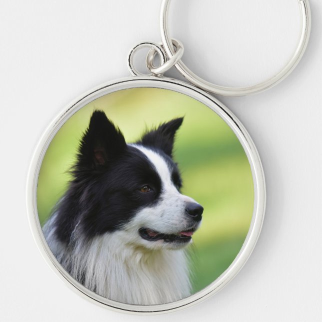 Porte-clés Chien Border Collie noir et blanc (Devant)