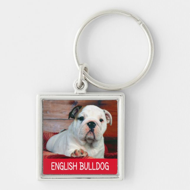 Porte-clés Chien Bouvier Anglais Mignon (Devant)
