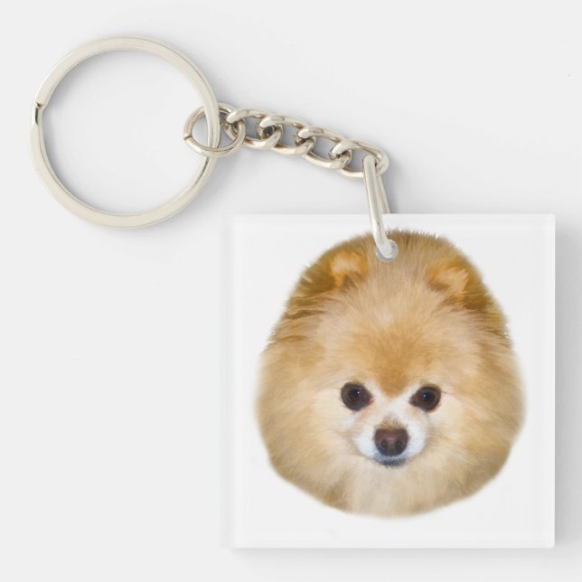 Porte-clés Chien Brown et blanc de Pomeranian (Devant)