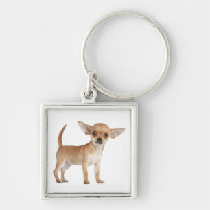 Porte-clés Chien Chihuahua