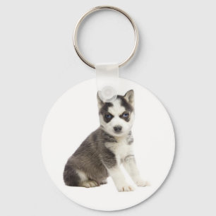 Porte-clés Chien chiot Husky Sibérien