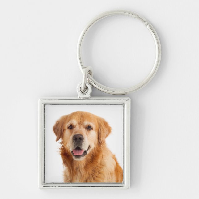 Porte-clés Chien Chiot Retriever Doré Amour (Devant)