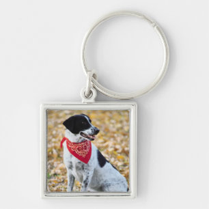 Porte-clés Chien d'automne