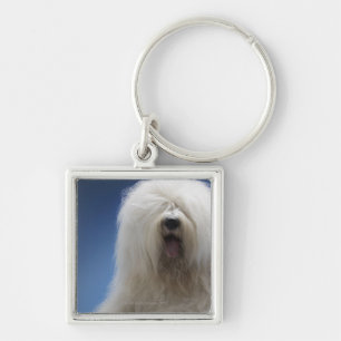 Porte-clés Chien de berger