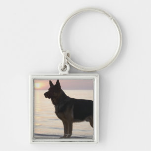 Porte-clés Chien de berger allemand sur la baie géorgienne,