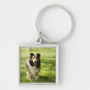 Porte-clés Chien de berger de Shetland fonctionnant sur