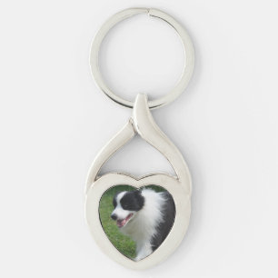 Porte-clés Chien de border collie