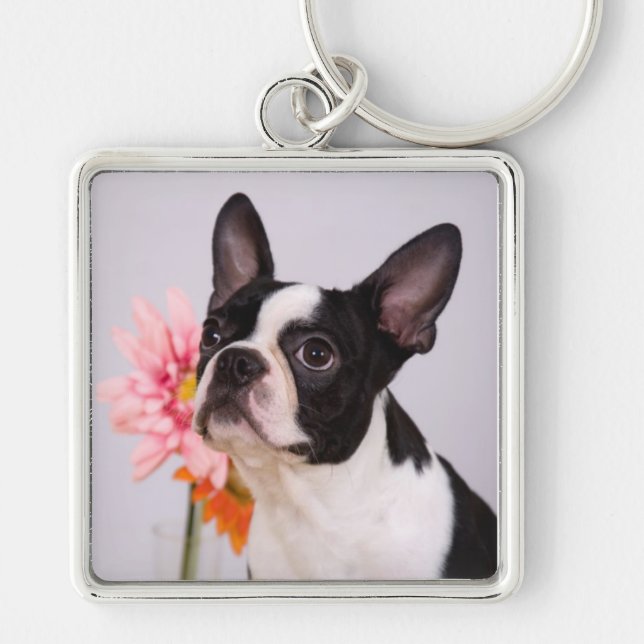 Porte-clés Chien de Boston Terrier avec le porte - clé rose (Devant)