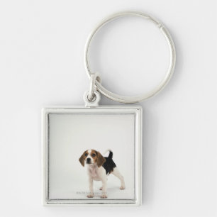 Porte-clés Chien de chasse